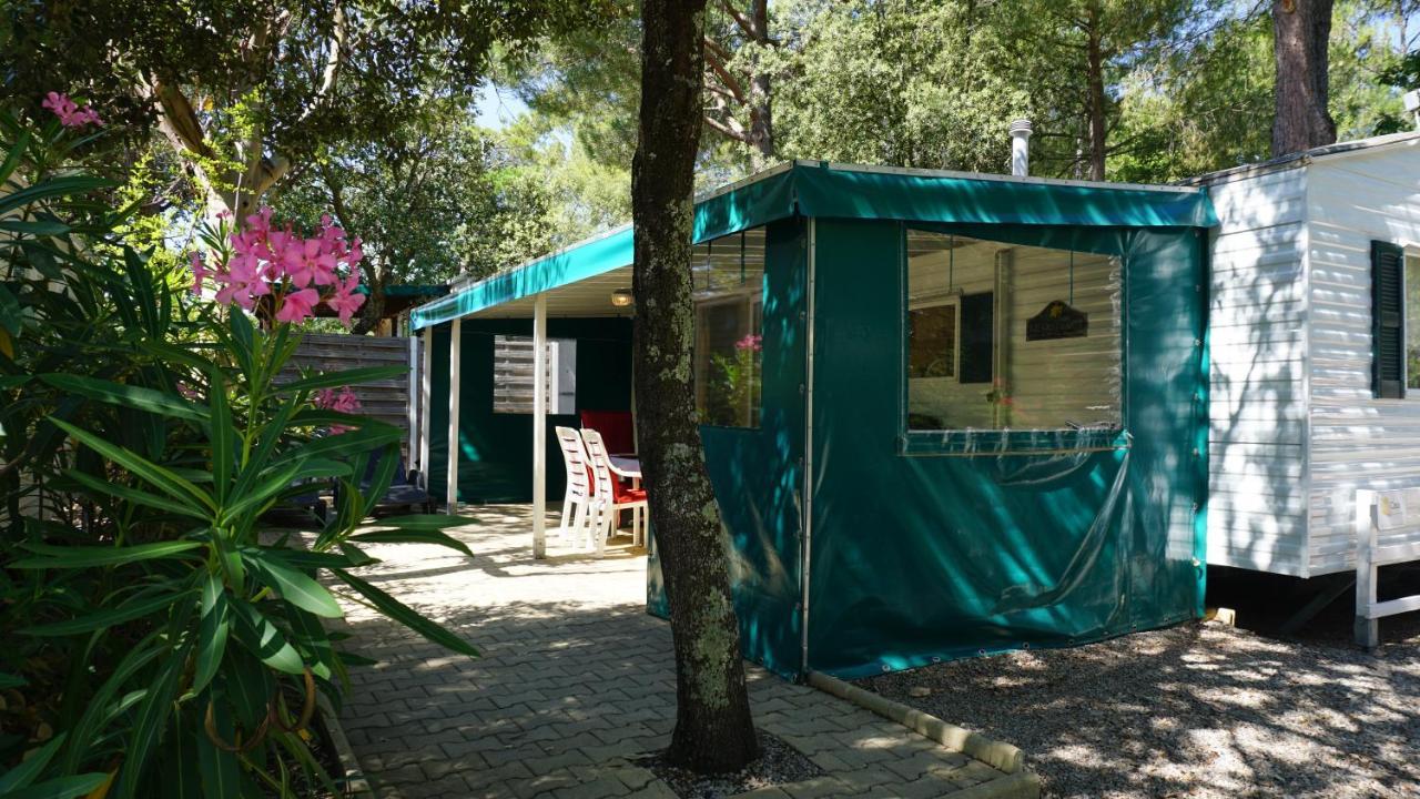Chalets Met Buitenkeuken Op Camping Lei Suves - Joycasa Roquebrune-sur-Argens Exterior photo
