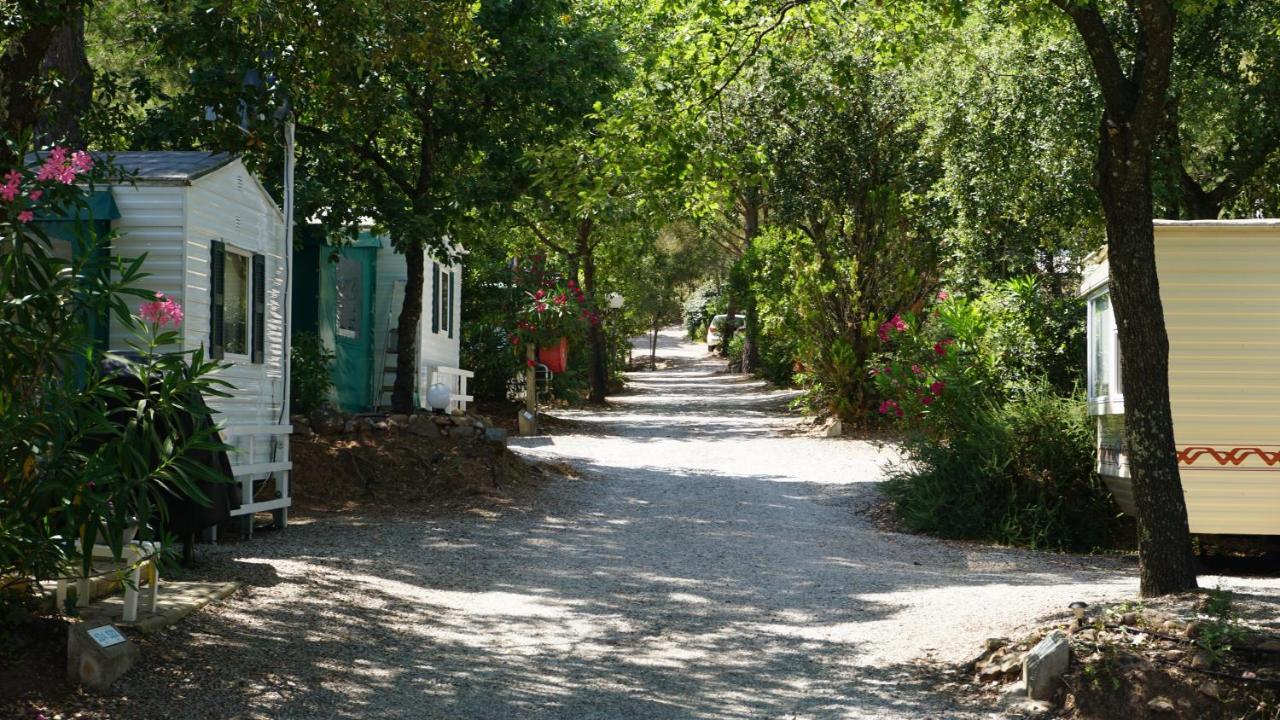 Chalets Met Buitenkeuken Op Camping Lei Suves - Joycasa Roquebrune-sur-Argens Exterior photo