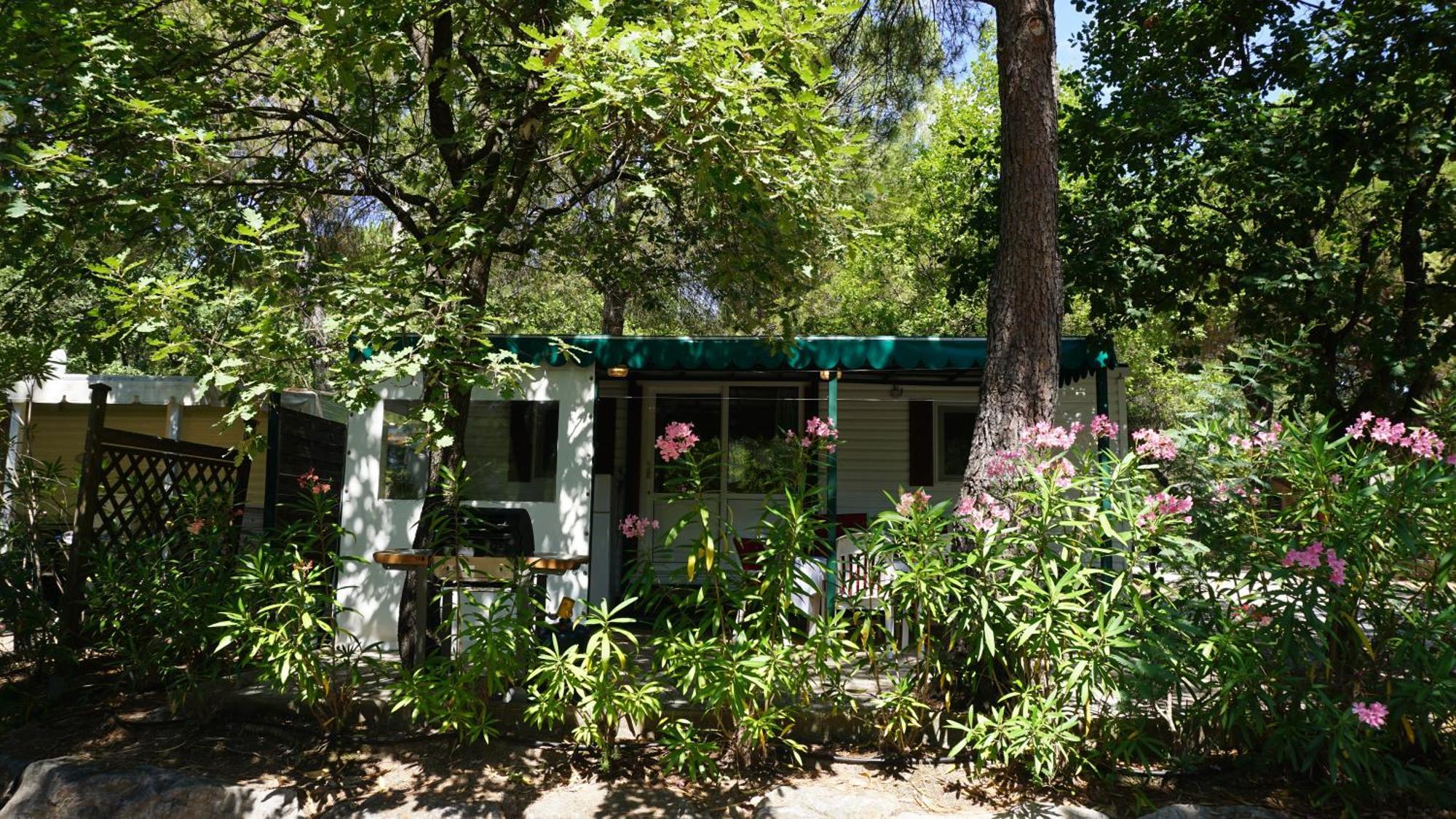 Chalets Met Buitenkeuken Op Camping Lei Suves - Joycasa Roquebrune-sur-Argens Room photo